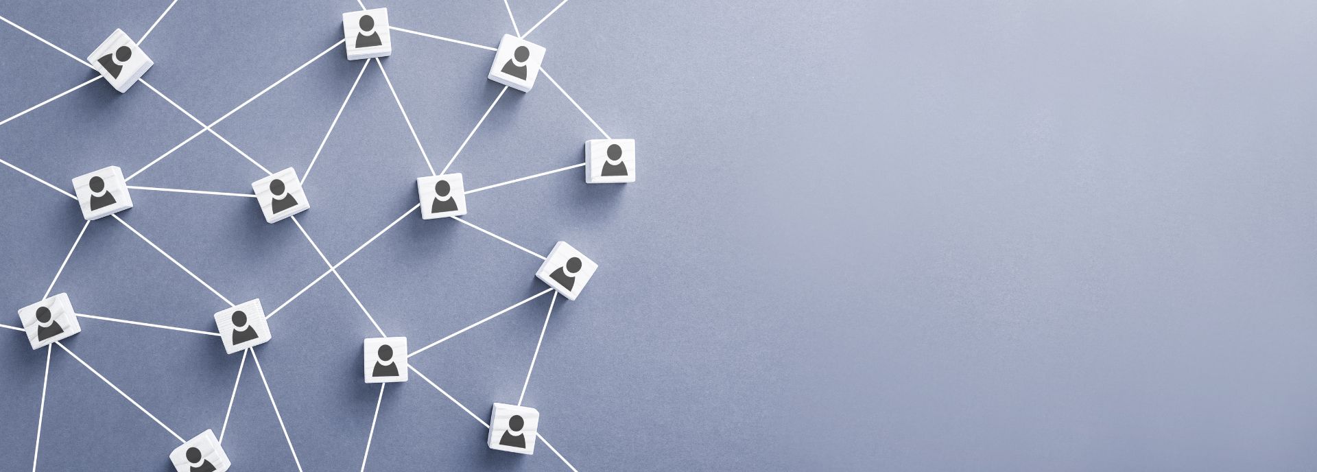 Joining the Dots How Building Connections in the British Chamber